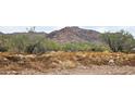 Scenic views of the property's natural desert landscape with majestic mountains in the background at 2669 S Southfork Ranch Rd, Gold Canyon, AZ 85118