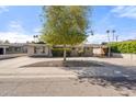 Charming single-story home showcasing a well-kept front yard, mature landscaping, and covered parking at 8213 E Whitton Ave, Scottsdale, AZ 85251