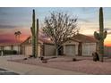 Charming home with desert landscaping, two-car garage, and tall cacti as a beautiful sunset paints the sky at 446 W Sereno Dr, Gilbert, AZ 85233