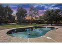 Private backyard pool with lush landscaping and clear, inviting water at 7015 S Stadium Ct, Gilbert, AZ 85298