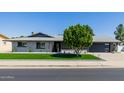 Inviting single-story home featuring a lush lawn, mature tree, and a sleek dark garage door at 3137 N Granite Reef Rd, Scottsdale, AZ 85251