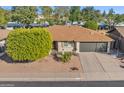 Charming single-story home with a well-manicured front yard and attached two car garage at 445 S Omaha --, Mesa, AZ 85206