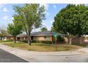 Inviting single-story brick home with a well-maintained lawn and beautiful mature landscaping at 7254 E Vernon Ave, Scottsdale, AZ 85257
