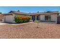 Well-maintained one-story home with desert landscaping, a two-car garage and mature flowering bushes at 1311 W Palo Verde Dr, Chandler, AZ 85224