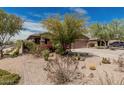 Beautiful home featuring desert landscaping with mature trees, cacti and flowering plants at 13146 S 178Th Ave, Goodyear, AZ 85338