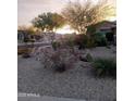 Desert-landscaped front yard with drought-tolerant plants and trees at sunset at 13146 S 178Th Ave, Goodyear, AZ 85338