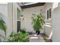 Inviting front entrance featuring a white door and lush plants creating a warm, welcoming ambiance at 2910 E Avenida Olivos St, Phoenix, AZ 85016