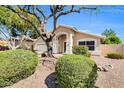 Inviting single-story home boasts a well-manicured lawn with mature landscaping, enhancing its curb appeal at 20615 N 55Th Ave, Glendale, AZ 85308