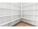 Walk-in pantry featuring white shelves and tile flooring at 40546 W Michaels Dr, Maricopa, AZ 85138