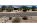 Street view showcasing serene neighborhood with mature trees and desert landscaping at 7361 E Rugged Ironwood Rd, Gold Canyon, AZ 85118