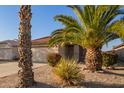 Charming single-story home featuring low maintenance landscaping with desert foliage at 1010 E Vernoa St, San Tan Valley, AZ 85140