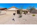 Charming single-story home featuring a two-car garage, desert landscaping, and a well-maintained front yard at 1614 W Beaubien Dr, Phoenix, AZ 85027