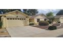 Single-story home with a two-car garage, xeriscaping, desert landscaping, and mature trees at 19527 N 142Nd Dr, Sun City West, AZ 85375