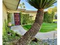 Lush front yard featuring a mature sago palm, green lawn, and meticulously manicured landscaping at 4800 N 68Th St # 104, Scottsdale, AZ 85251