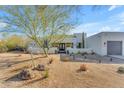 Elegant stucco house with beautiful desert landscaping and mature tree in a bright, sunny setting at 24417 N 87Th St, Scottsdale, AZ 85255