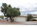 Attractive single-story home with xeriscaping, mature shade tree, and a two-car garage at 1620 E Jacinto Ave, Mesa, AZ 85204