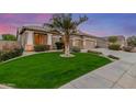 Well-maintained front yard features healthy green grass and a mature palm tree at 6751 S Callaway Dr, Chandler, AZ 85249