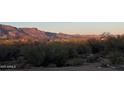 Property view with desert landscaping, mountain view, trees, and cacti at 9736 E Sleepy Hollow Trl, Gold Canyon, AZ 85118