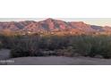 Expansive property view of desert landscaping, mountains, trees, and cacti at 9736 E Sleepy Hollow Trl, Gold Canyon, AZ 85118