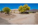 Side view of single-story home with desert landscaping, bright green trees, and mountain views at 9736 E Sleepy Hollow Trl, Gold Canyon, AZ 85118