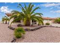 Charming home featuring a well-manicured front yard with lush landscaping and a palm tree at 9526 W Menadota Dr, Peoria, AZ 85382