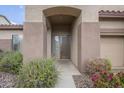 A brown front door to a house with decorative flowers and plants in the front yard at 1154 E Kramer Cir, Mesa, AZ 85203