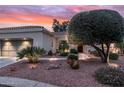 Landscaped yard with stone and desert plants leading to a single-story home with a two-car garage at 12839 W Rincon Ct, Sun City West, AZ 85375