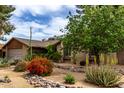 Single-story home featuring desert landscaping and a lush green tree at 4839 E Marilyn Rd, Scottsdale, AZ 85254