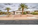 Attractive single-story home with palm trees, desert landscape, and a neatly maintained front yard at 5524 E Harmon Cir, Mesa, AZ 85215