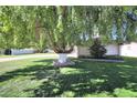 Lush front yard featuring a mature tree with shade and a well-maintained lawn at 6320 N 4Th Pl, Phoenix, AZ 85012