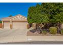 Charming single-Gathering home featuring a three-car garage, desert landscaping, and mature shade tree at 3562 E Harvard Ct, Gilbert, AZ 85234