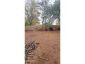 Large backyard with mature trees, with some tools and supplies in the background at 18293 W Elm St, Surprise, AZ 85388