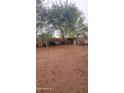 View of the large backyard with mature trees, offering ample space for outdoor activities at 18293 W Elm St, Surprise, AZ 85388