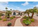 Beautiful single-story home featuring mature palm trees, desert landscaping, and a welcoming walkway at 15816 W Amelia Dr, Goodyear, AZ 85395