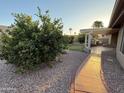 Serene backyard showcasing lush landscaping, mature trees, and a covered patio area for outdoor enjoyment at 8541 W Rosemonte Dr, Peoria, AZ 85382