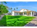 Lush backyard boasting a well-maintained lawn, a covered patio, and mature palm trees at 3037 S Coyote Cyn, Mesa, AZ 85212