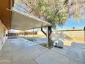 Backyard covered patio with large tree providing shade to the yard and its concrete features at 3133 N 81St Ave, Phoenix, AZ 85033