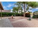 Landscaped backyard with mature trees, plants, a fountain feature, and a small gate leading to another area at 730 E Rosemonte Dr, Phoenix, AZ 85024