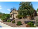 Well maintained lawn and desert landscaping in front of tan stucco home at 19740 W Sherman St, Buckeye, AZ 85326