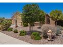 Landscaped front yard with a variety of small bushes, plants, and a mature shade tree at 19740 W Sherman St, Buckeye, AZ 85326
