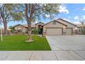 Charming single-story home with a three-car garage, well-manicured lawn, and mature shade tree at 20497 E Appaloosa Dr, Queen Creek, AZ 85142