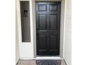 Stylish black front door providing a welcoming entrance to the home at 4751 E White Aster St, Phoenix, AZ 85044