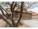 The garage is partially obstructed by a large, leafy tree, with desert landscaping in the yard at 31527 N Sundown N Dr, San Tan Valley, AZ 85143