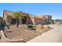 Beautiful single-story home with a low maintenance front yard featuring desert landscaping, gravel and palm trees at 4829 E Charleston Ave, Scottsdale, AZ 85254