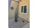 Stylish front yard featuring desert landscaping and a decorative metal sphere wall hanging at 607 W 14Th St, Tempe, AZ 85281