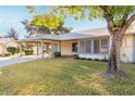 Single-story home with covered carport, well maintained lawn and mature shade tree in the front yard at 11671 S Jokake St, Phoenix, AZ 85044