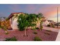 Well-maintained yard with desert landscaping and lush green trees in a quiet neighborhood at 3739 S 180Th Dr, Goodyear, AZ 85338