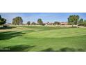 Expansive golf course view showcasing lush green fairways, mature trees, and a tranquil setting for the perfect game at 416 Leisure World --, Mesa, AZ 85206