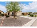 Tan single-story home featuring a two-car garage, desert landscaping, and a mature shade tree at 535 E Yellow Wood Ave, San Tan Valley, AZ 85140