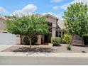 Charming single-story home with desert landscaping, a tile roof, and mature shade trees in a sunny neighborhood at 20630 N 42Nd Ave, Glendale, AZ 85308